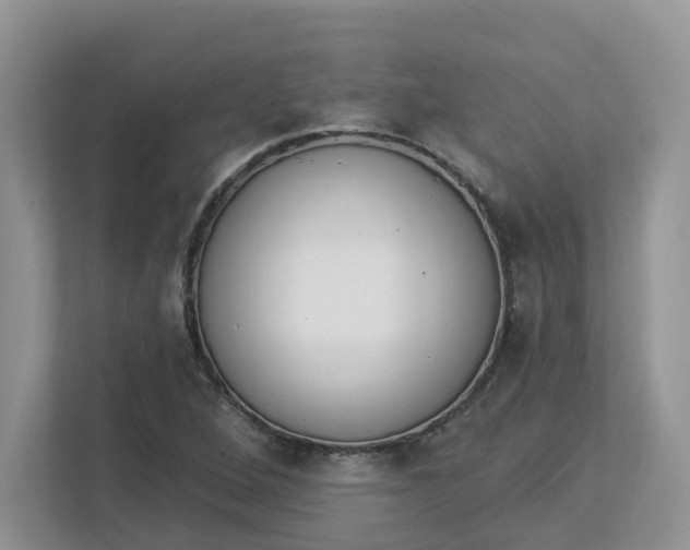 X0000112841264200909041515