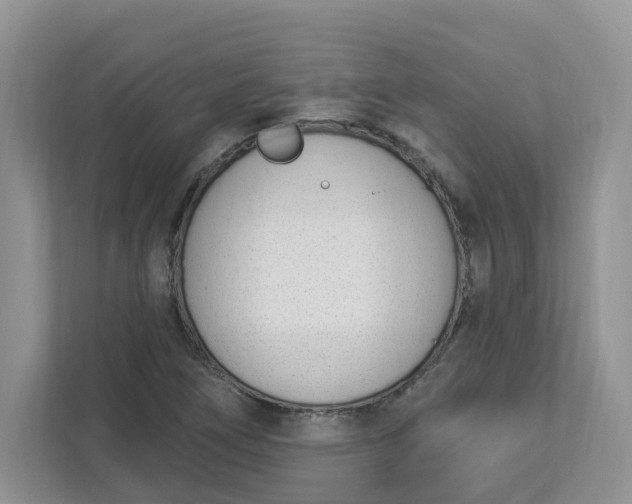 X0000112841266200909041515