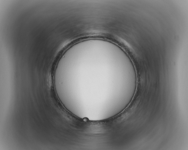 X0000112841267200909041515