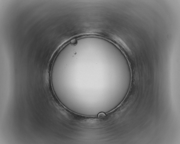 X0000112841268200909041515