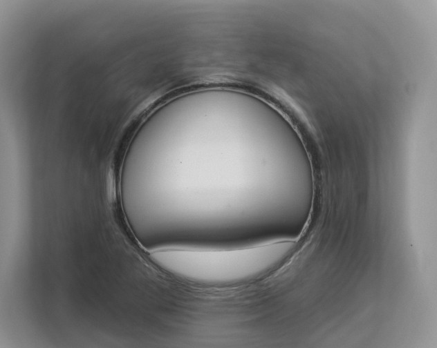 X0000112841269200909041515