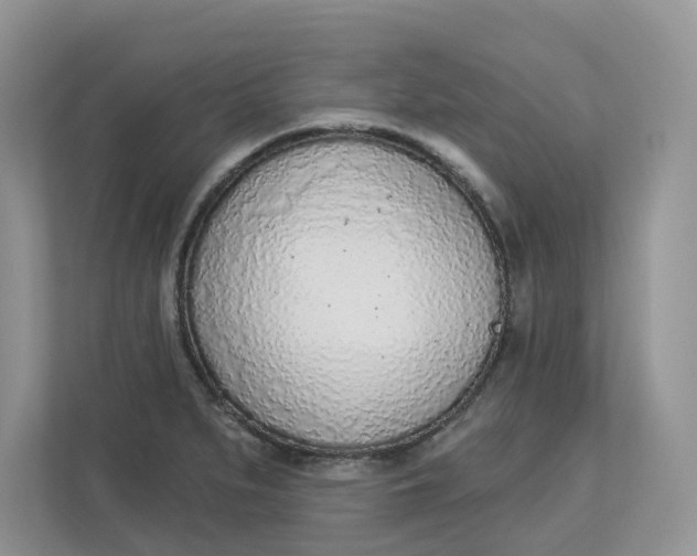 X0000112841279200909041515