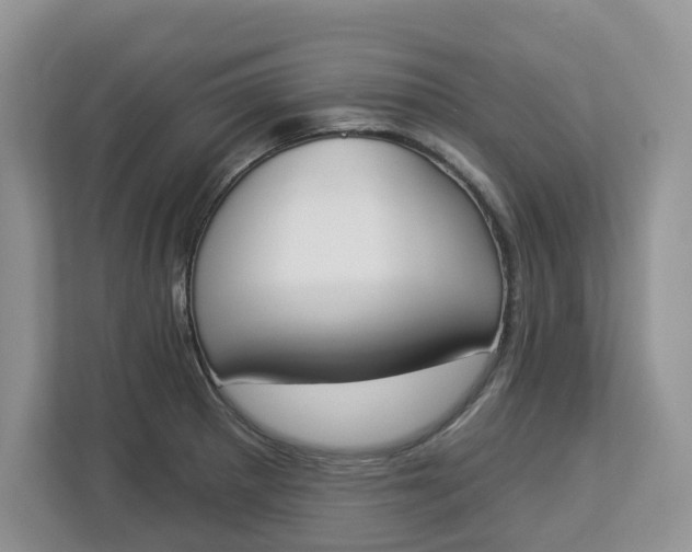 X0000112841281200909041515