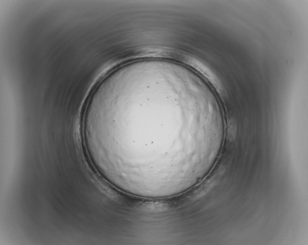 X0000112841283200909041515