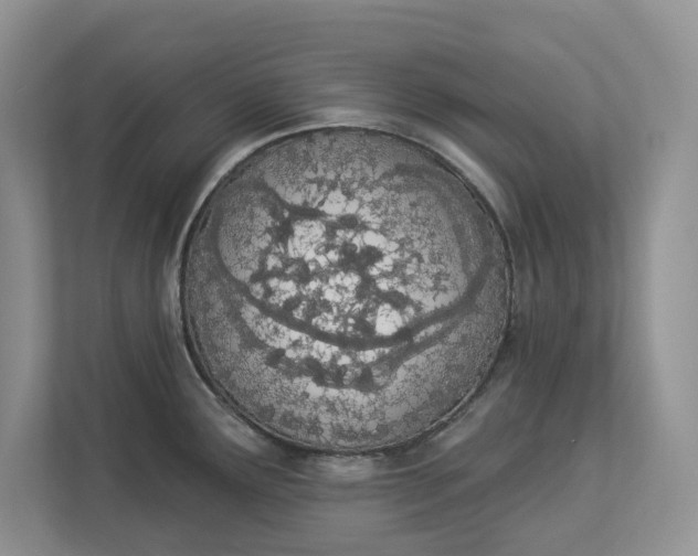 X0000112841291200909041515