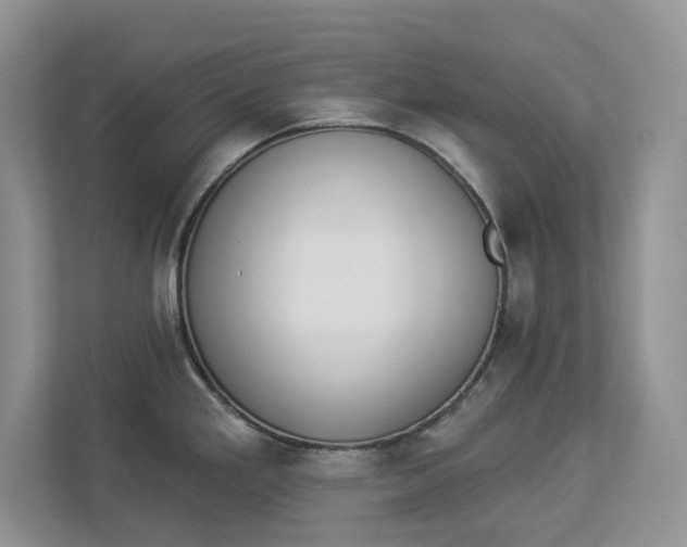 X0000112841293200909041515