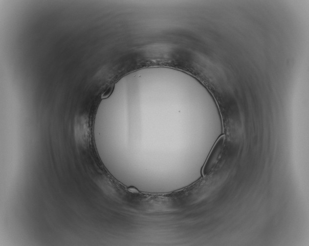 X0000112841298200909041514