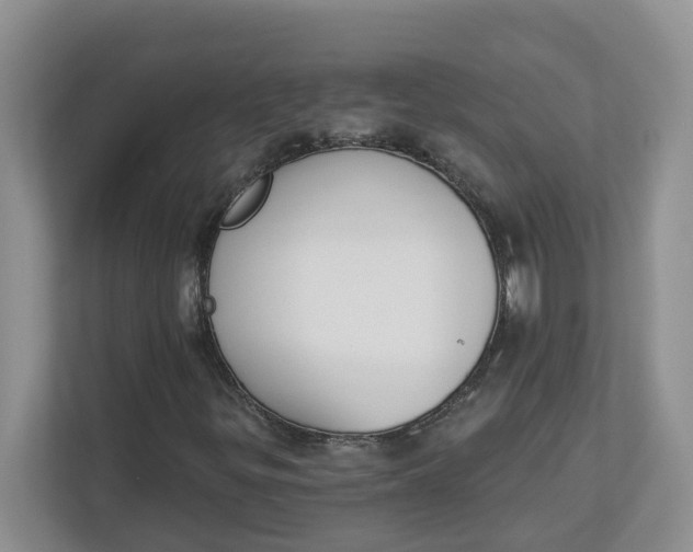 X0000112841299200909041514