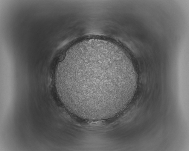 X0000112841303200909041514