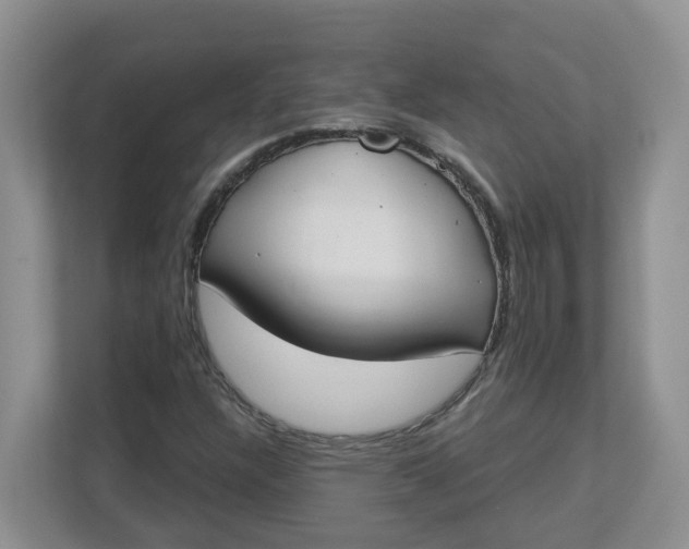 X0000112841304200909041514