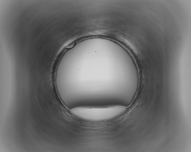 X0000112841308200909041514