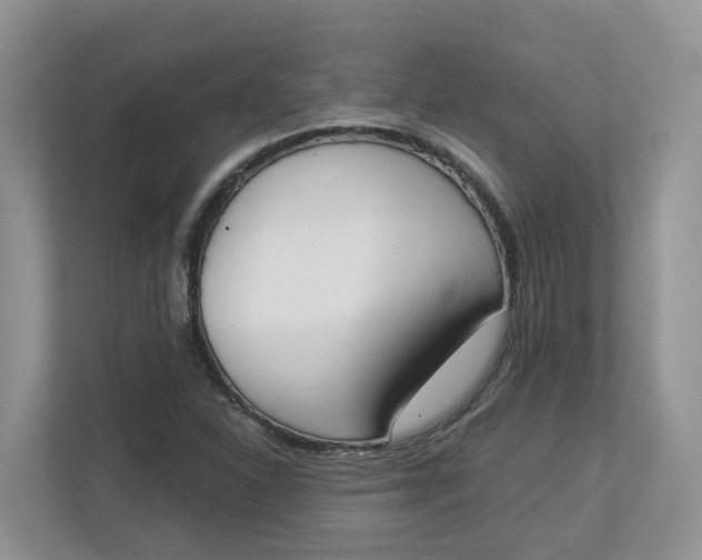 X0000112841310200909041515