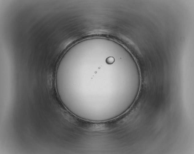 X0000112841313200909041515