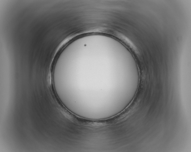 X0000112841324200909041515