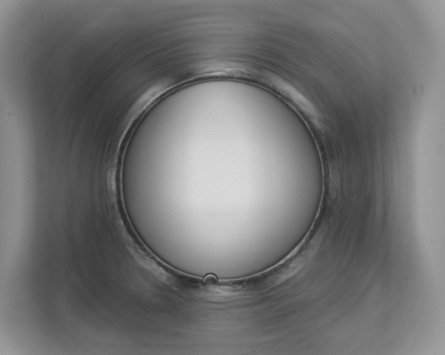 X0000112841330200909041515