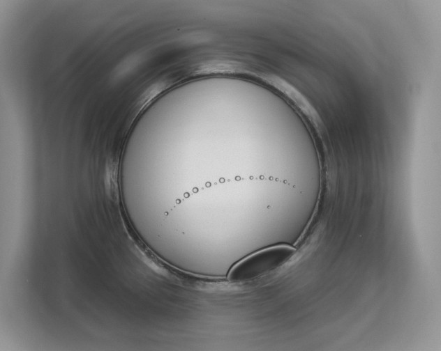 X0000112841337200909041515