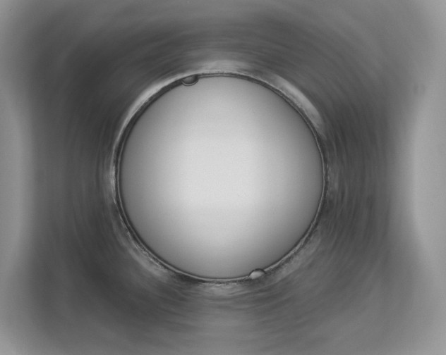 X0000112841340200909041515