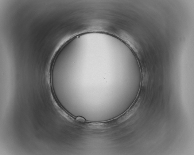 X0000112841342200909041515