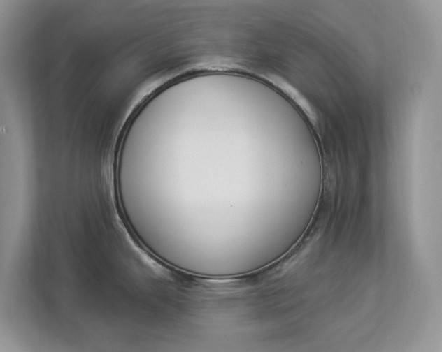 X0000112841343200909041515