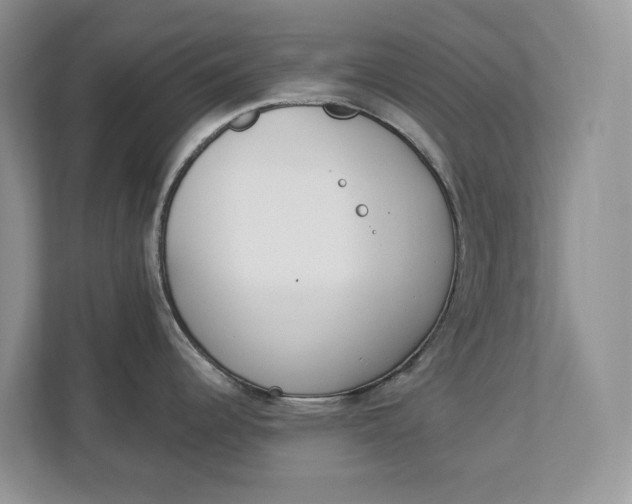 X0000112841344200909041515