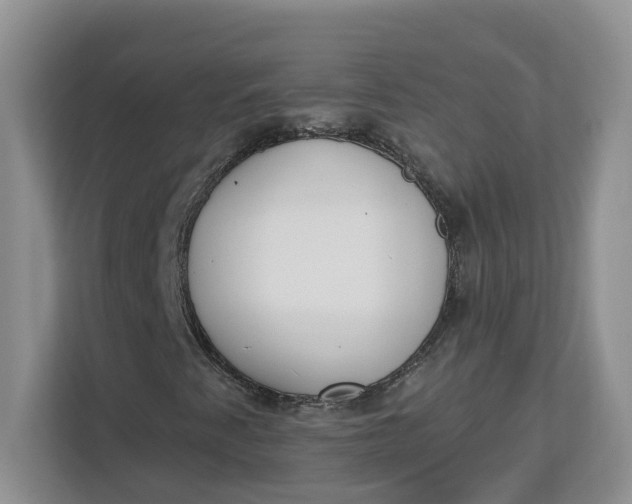 X0000112841345200909041514