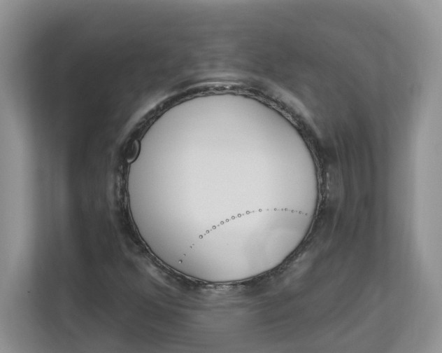 X0000112841352200909041514