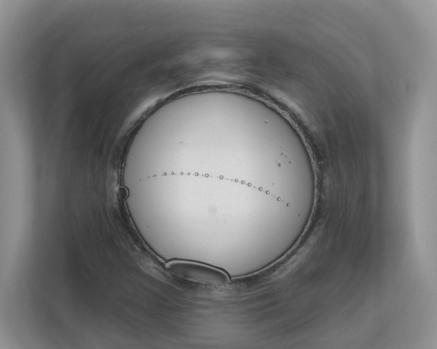 X0000112841355200909041514