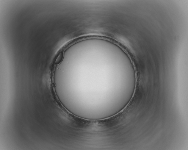 X0000112841360200909041514