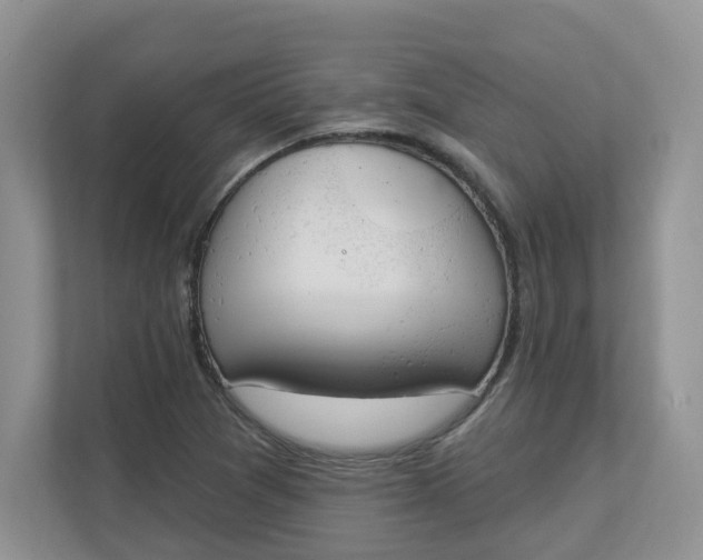 X0000112841361200909041514