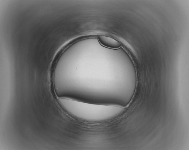 X0000112841364200909041514