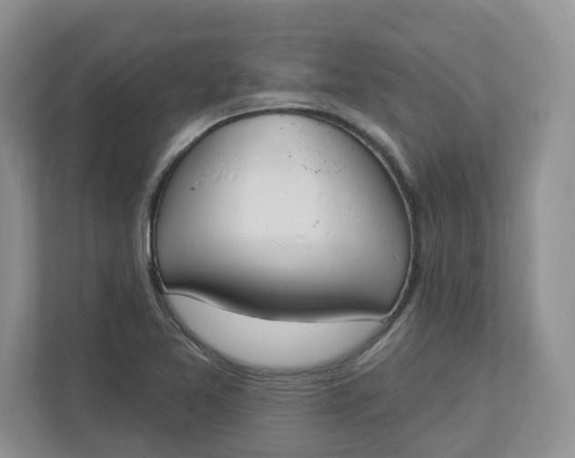 X0000112841365200909041514