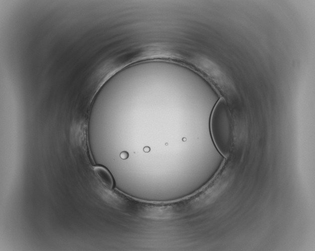 X0000112841369200909041514