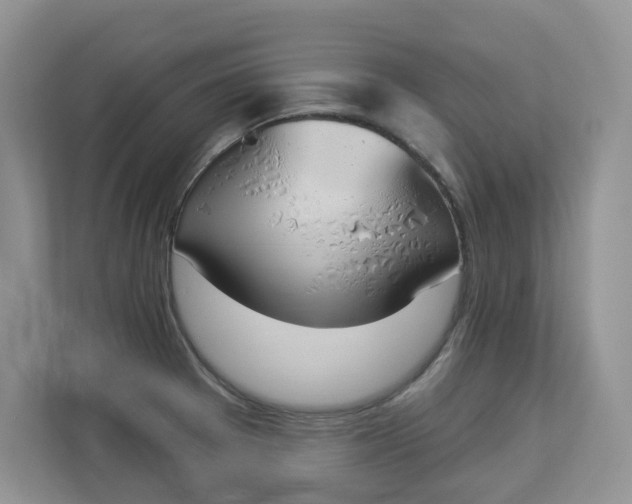 X0000112841377200909041514