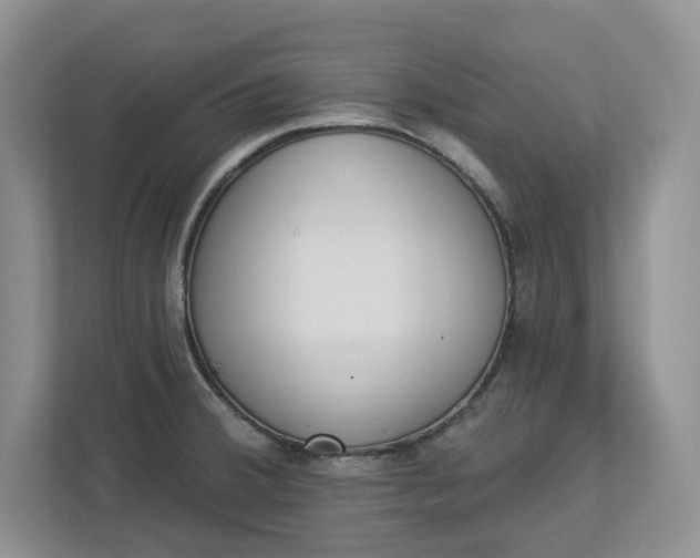 X0000112841380200909041514