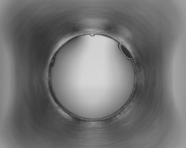 X0000112841381200909041514