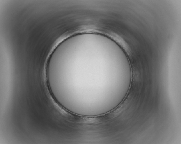 X0000112841382200909041514