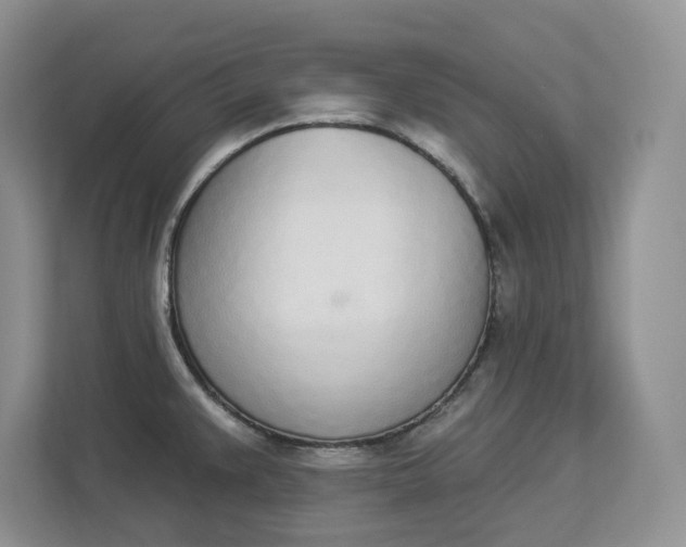 X0000112841383200909041514