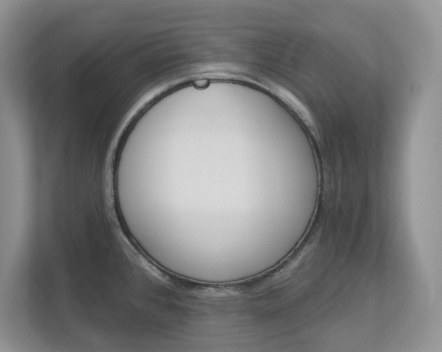 X0000112841384200909041514