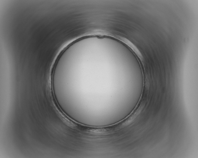 X0000112841388200909041514