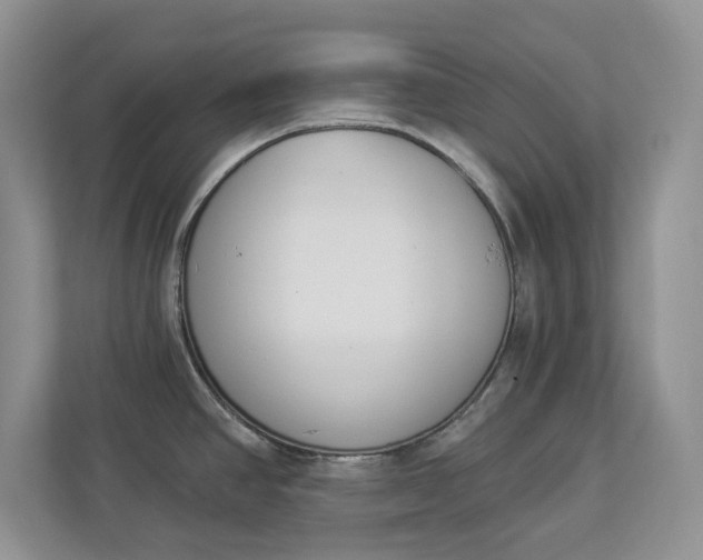 X0000112841390200909041514