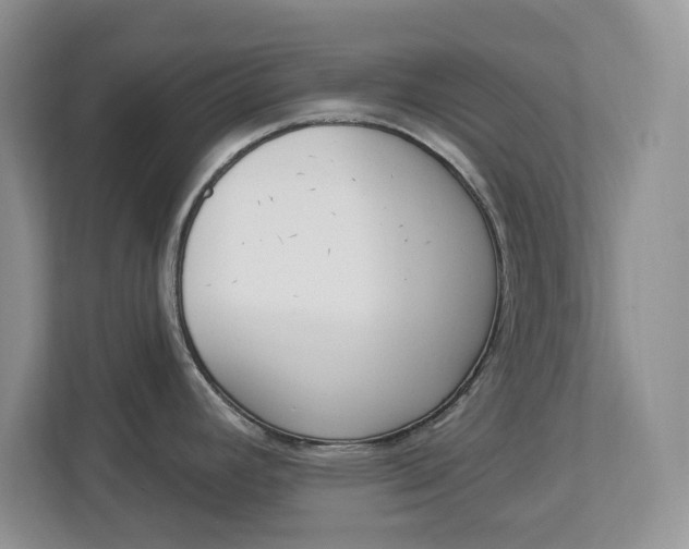 X0000112841392200909041514