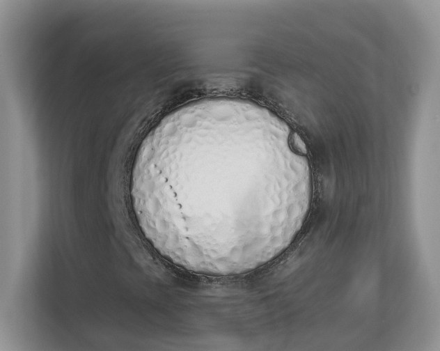 X0000112841393200909041513