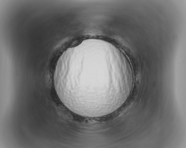 X0000112841398200909041513