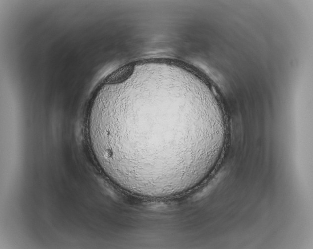 X0000112841405200909041513