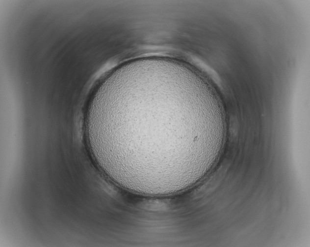 X0000112841411200909041513