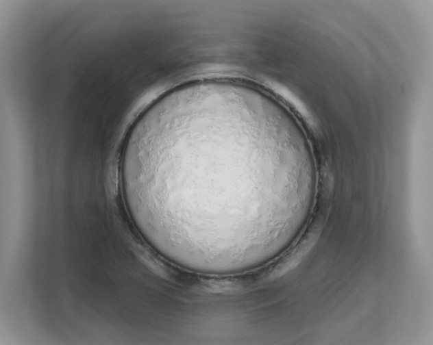 X0000112841413200909041513