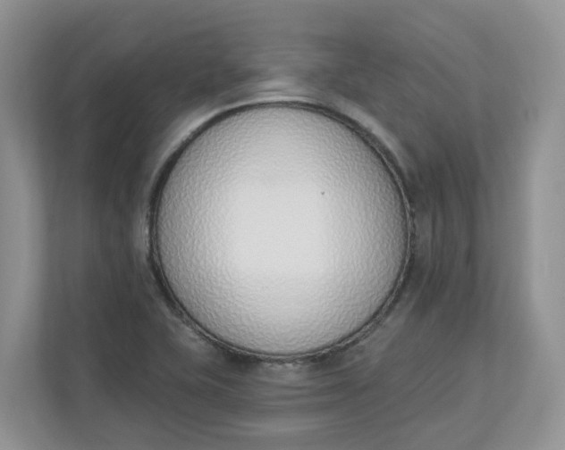 X0000112841415200909041513