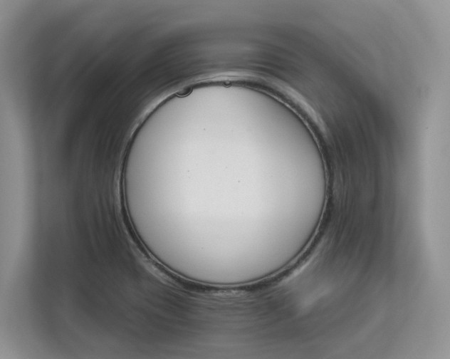 X0000112841417200909041513