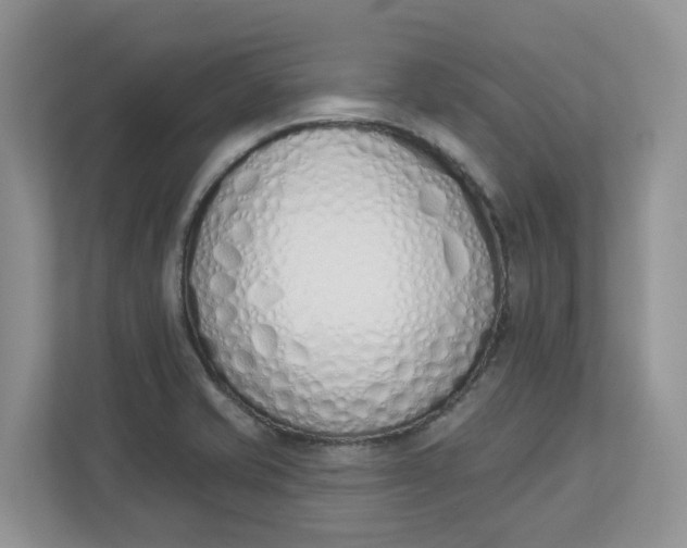 X0000112841421200909041513