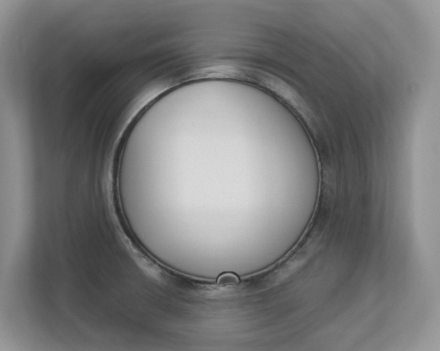 X0000112841426200909041514